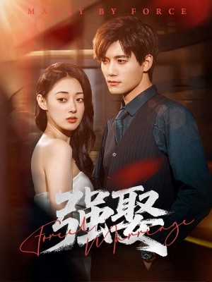 强娶（80集）郑文岩＆汤震