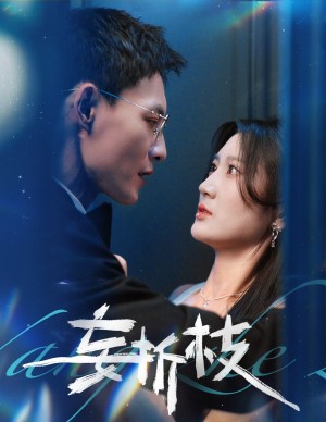 妄折枝（53集）馮銘潮＆楊珊子